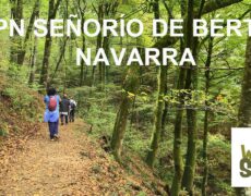 Descubre el encanto natural de Pamplona: Turismo en el Parque Natural de Bertiz