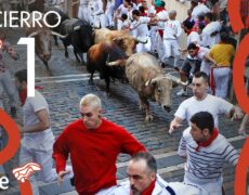 Descubre la verdadera cara del turismo en Pamplona: el encierro de toros y su impacto en los viajeros