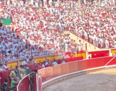 Descubre la emoción de la Fiesta en la Plaza de Toros de Pamplona: Tradición, cultura y diversión