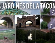 Descubre la belleza natural de Pamplona: Paseando por el Parque de la Taconera