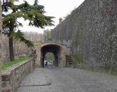 Descubre el encanto de Francia en Pamplona: el portal perfecto para tu viaje de turismo