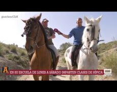 Descubre las mejores rutas a caballo en Pamplona para un turismo ecuestre inolvidable