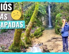 Descubre los mejores senderos de Pamplona: turismo de aventura en la capital navarra